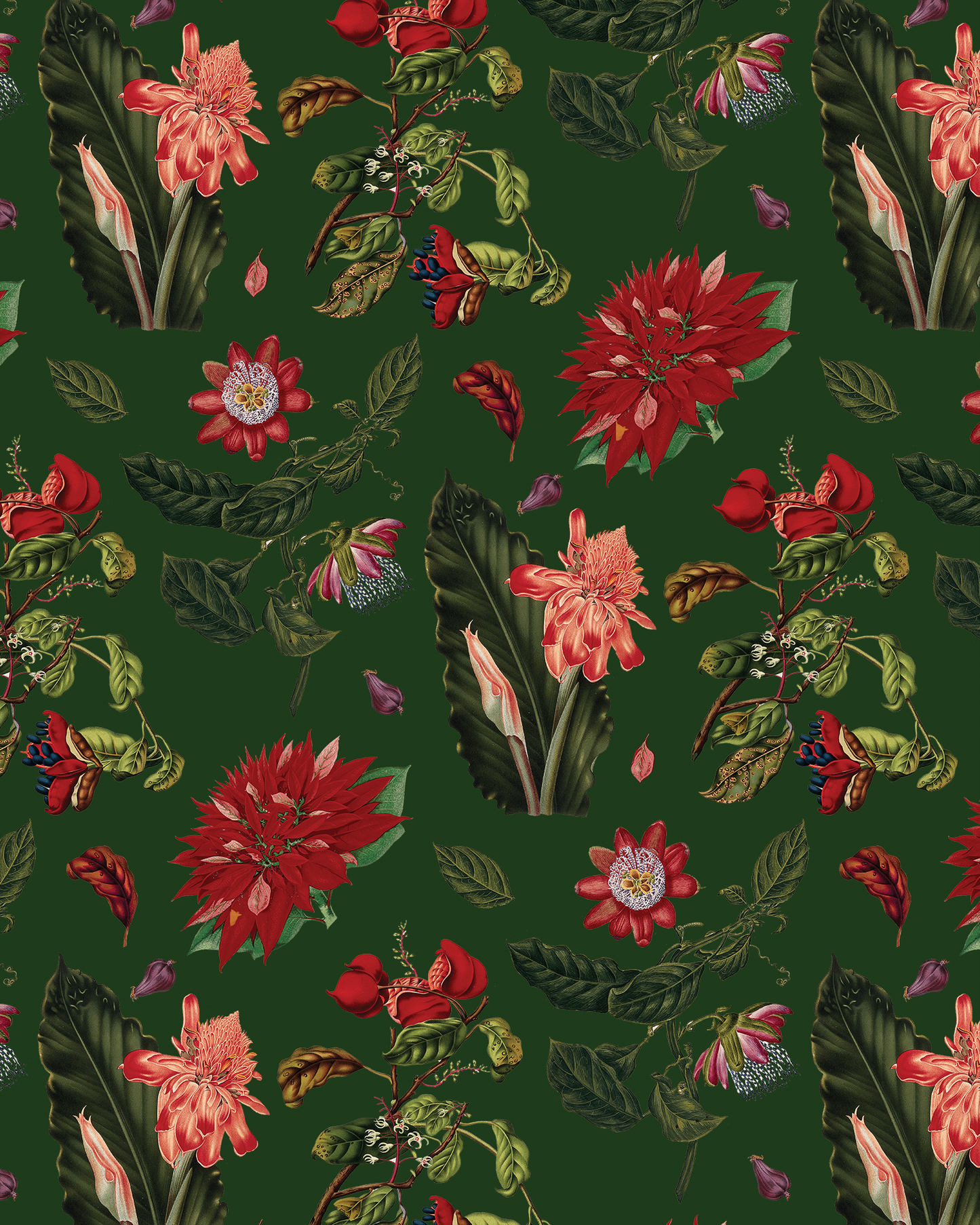 Vintage Poinsettia Wrapping Paper, Large Roll, green & red
