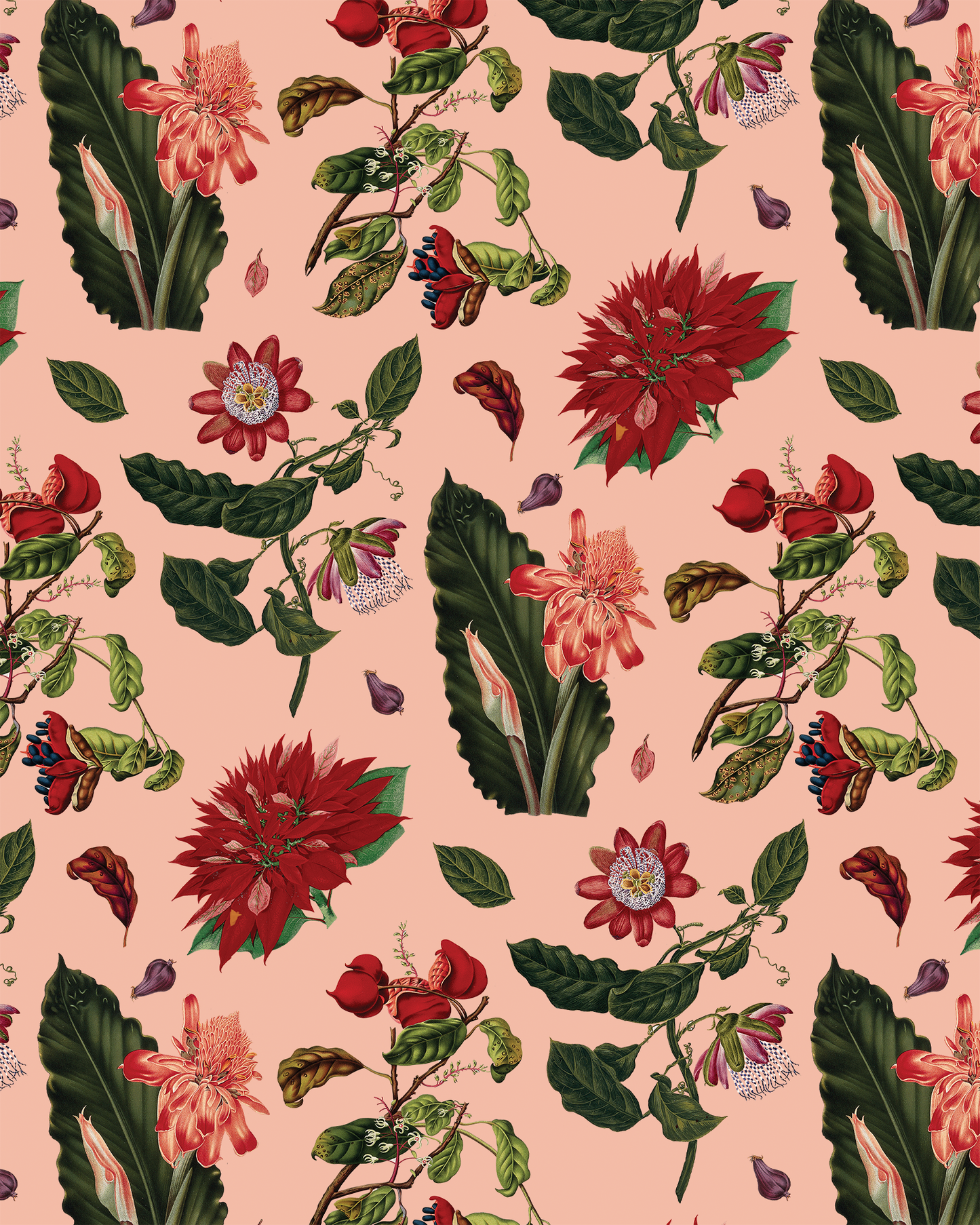 Vintage Poinsettia Wrapping Paper, Large Roll, peach & red