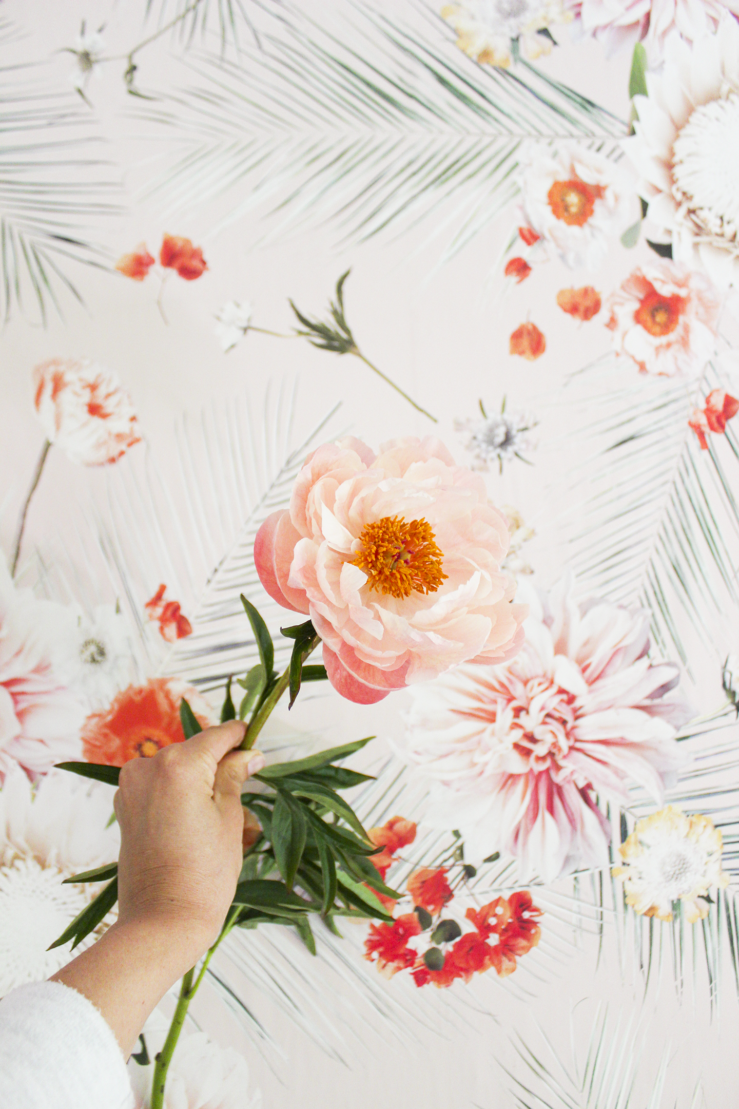 Palm Springs Wallpaper, peach