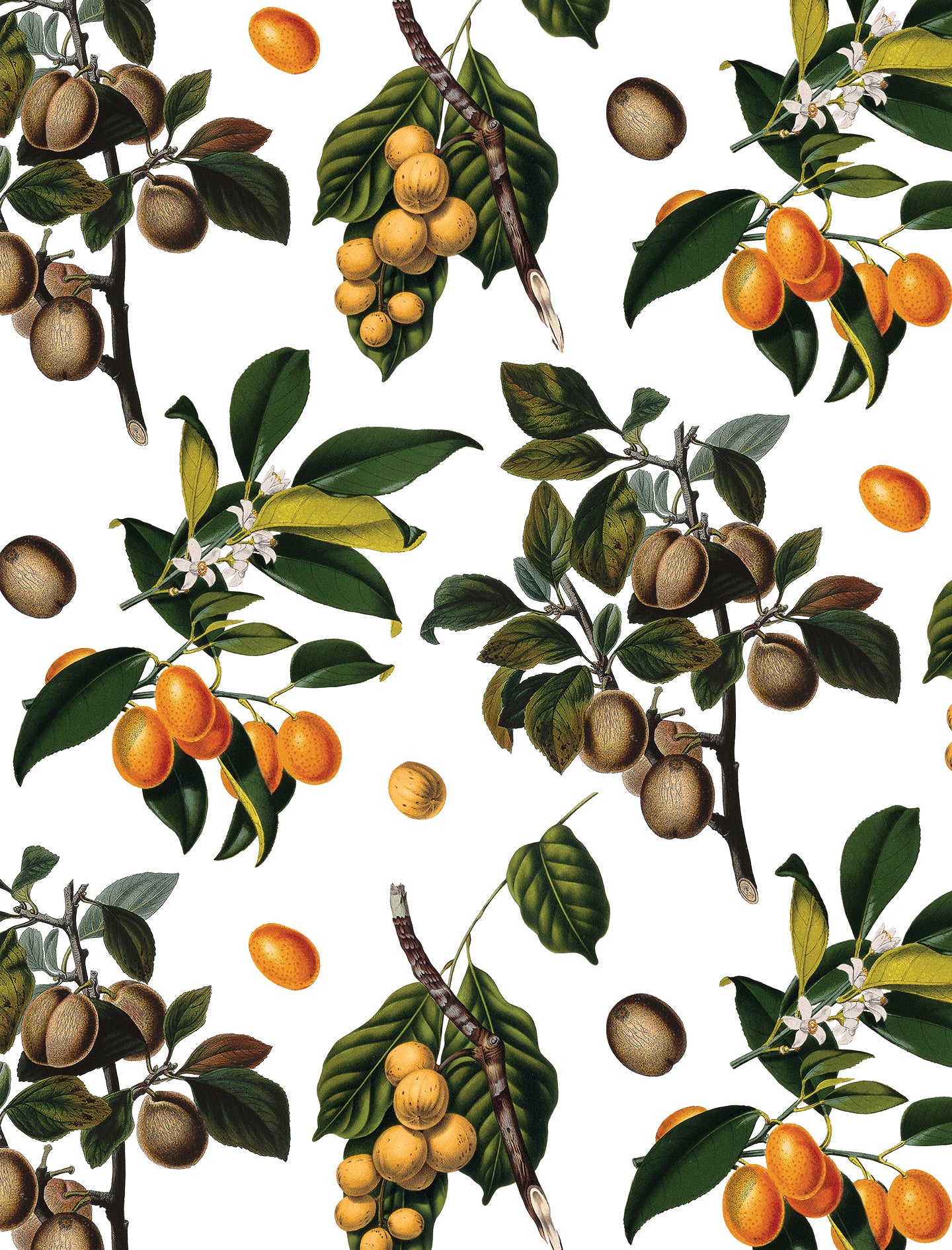 Vintage Orchard Wallpaper, white