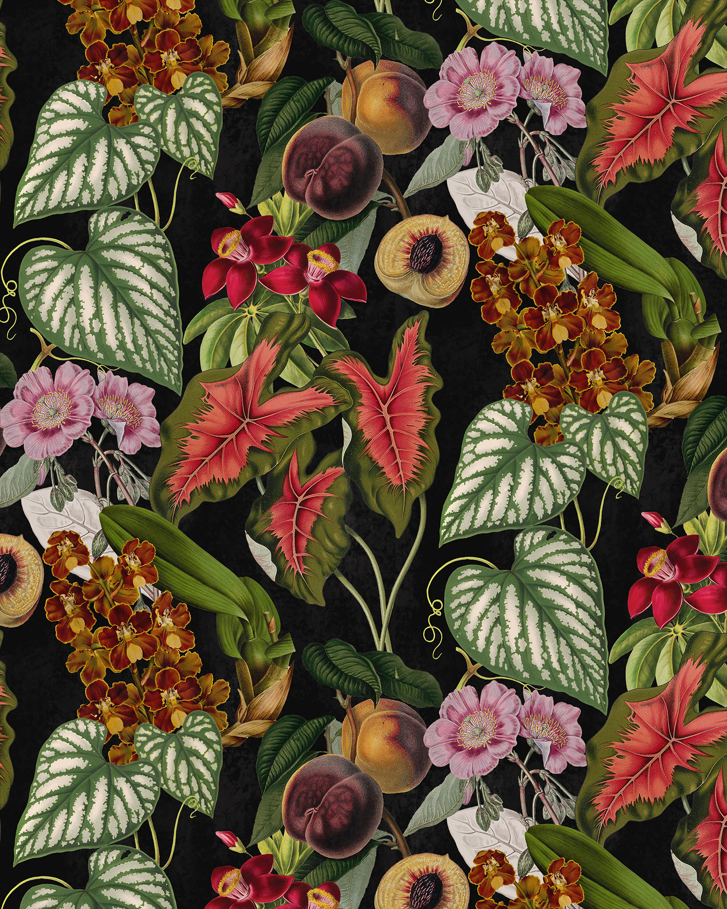 Cali Tropicale Wallpaper, black