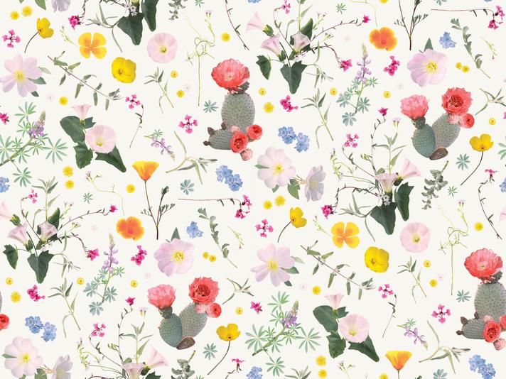 California Native Wallpaper, white and multicolor