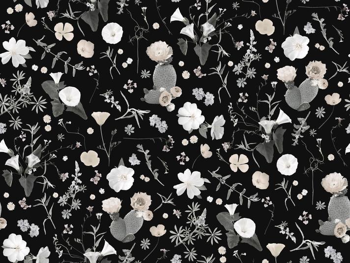 California Native Wallpaper, black and white