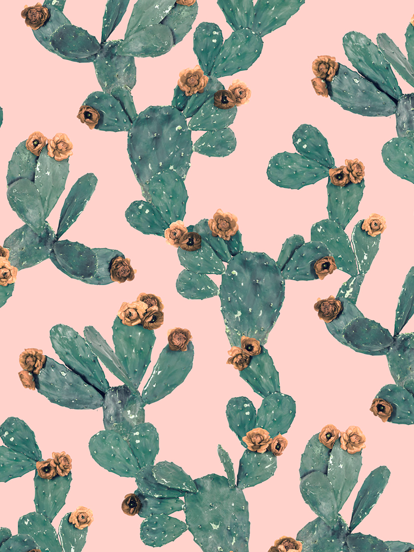 Desert Blooms Wallpaper, pink and terra cotta