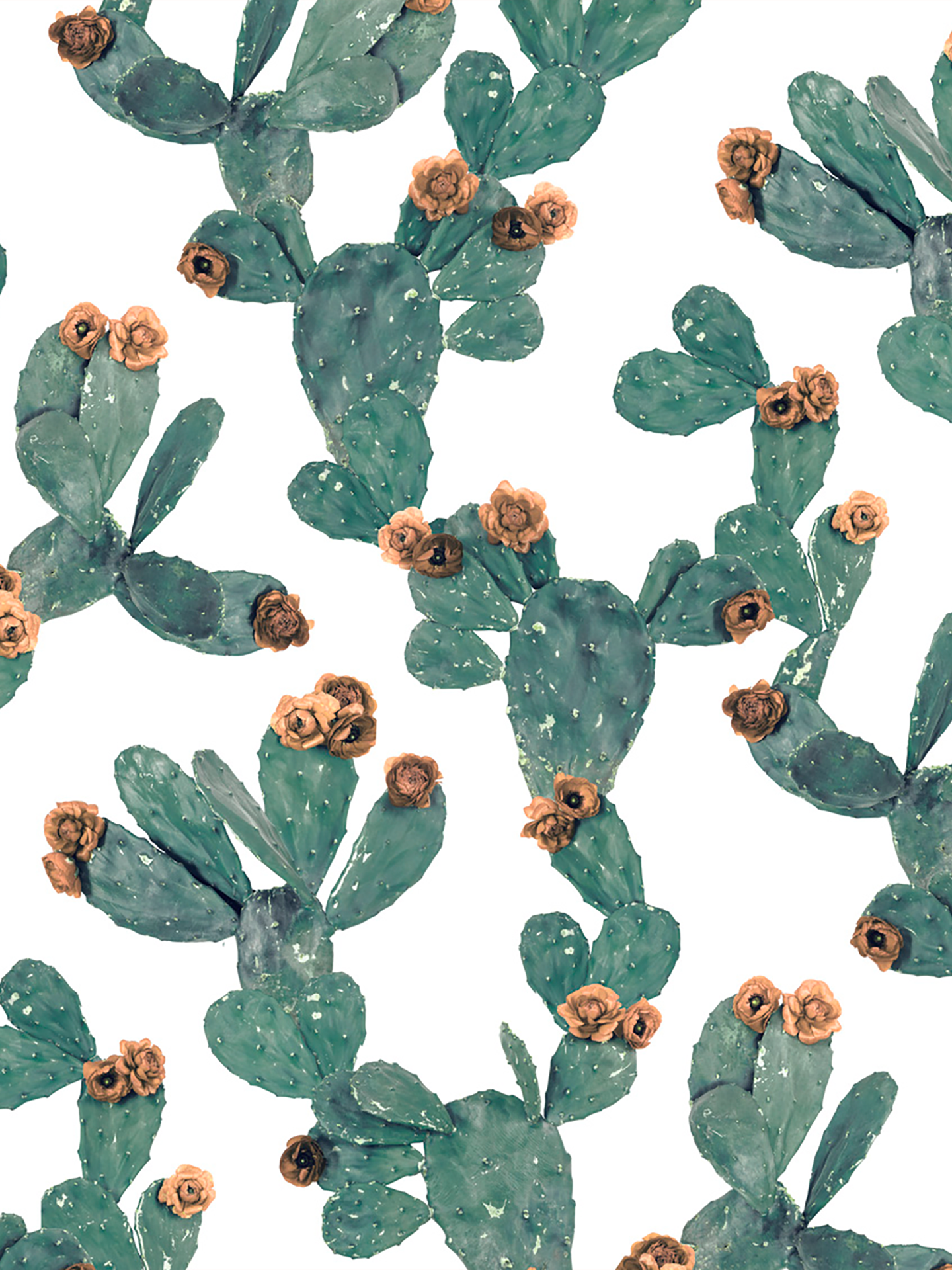 Desert Blooms Wallpaper, white and terra cotta