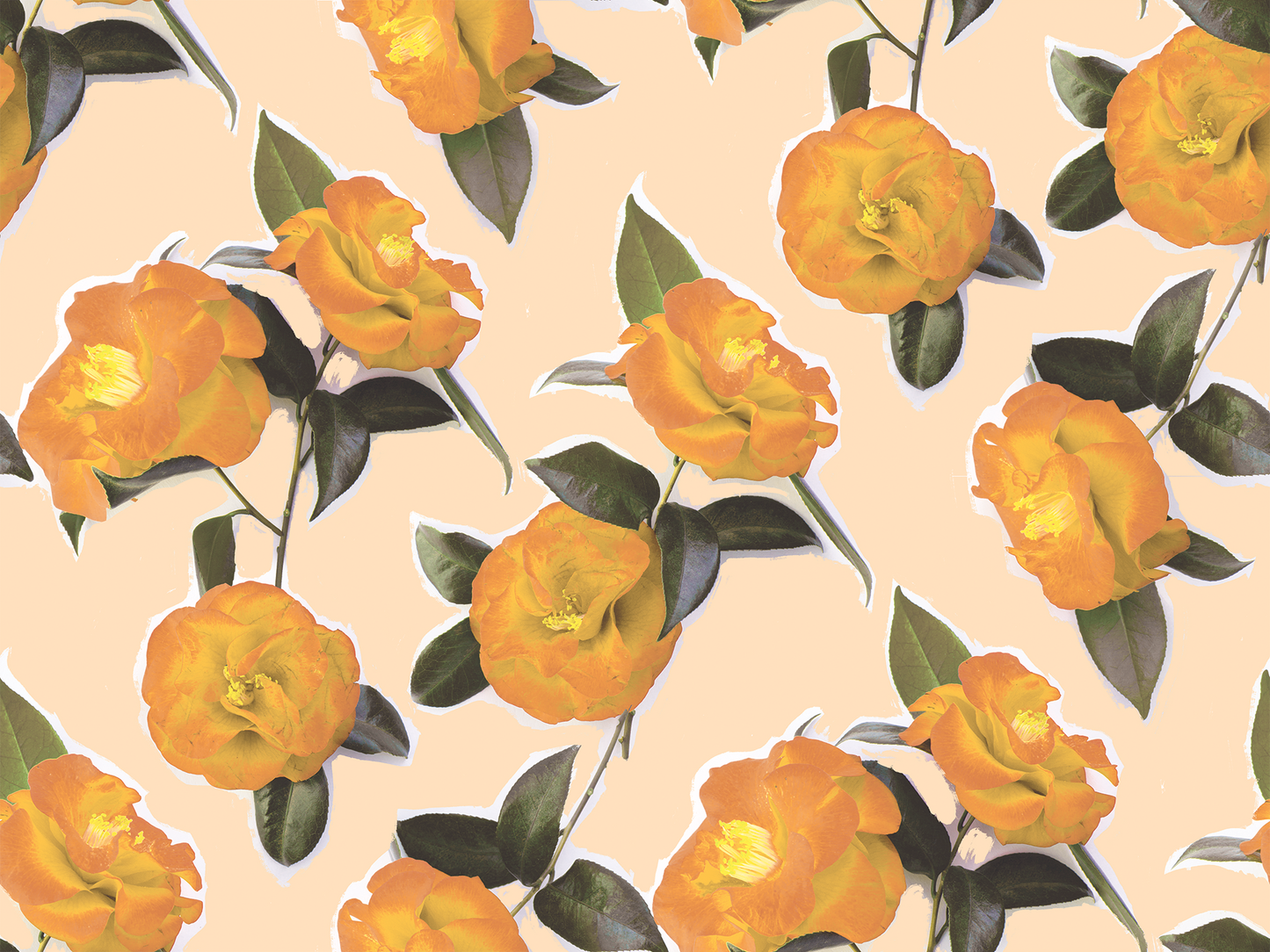 Camellia Wallpaper, peach