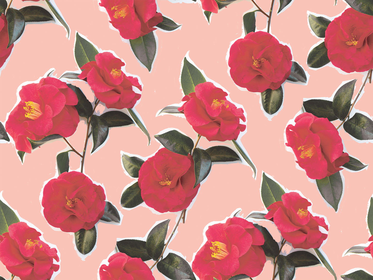 Camellia Wallpaper, pink