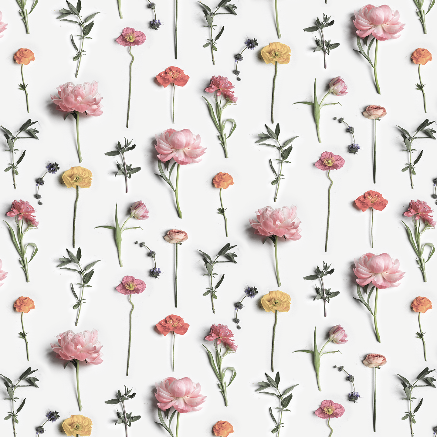 Fresh to Death Wallpaper, small pattern, spring muted