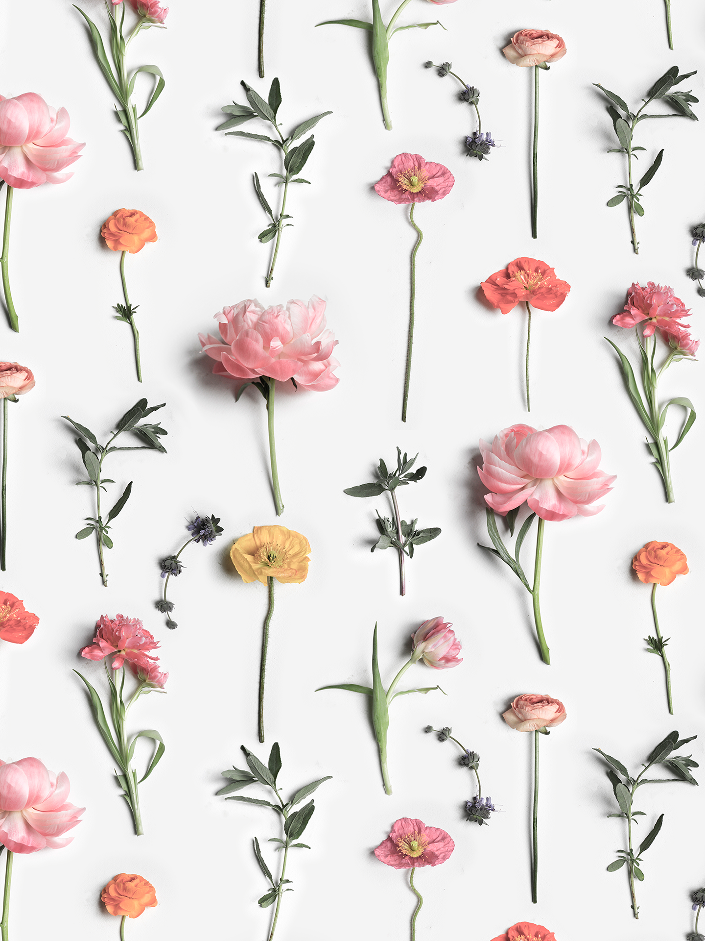 Fresh to Death Wallpaper, standard pattern, spring muted