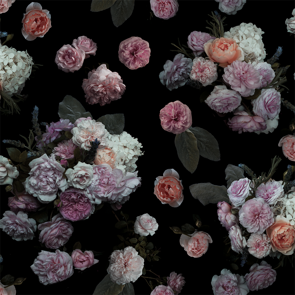 Rose Farm Wallpaper, black & pastel