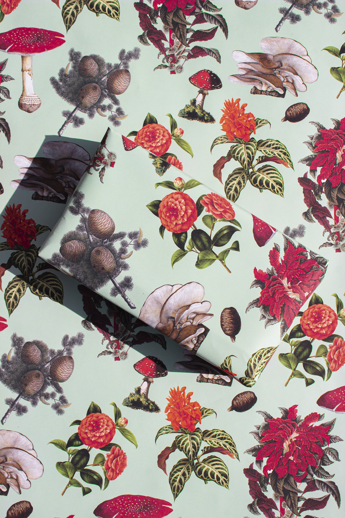 Pines and Shrooms Gift Wrap, mint