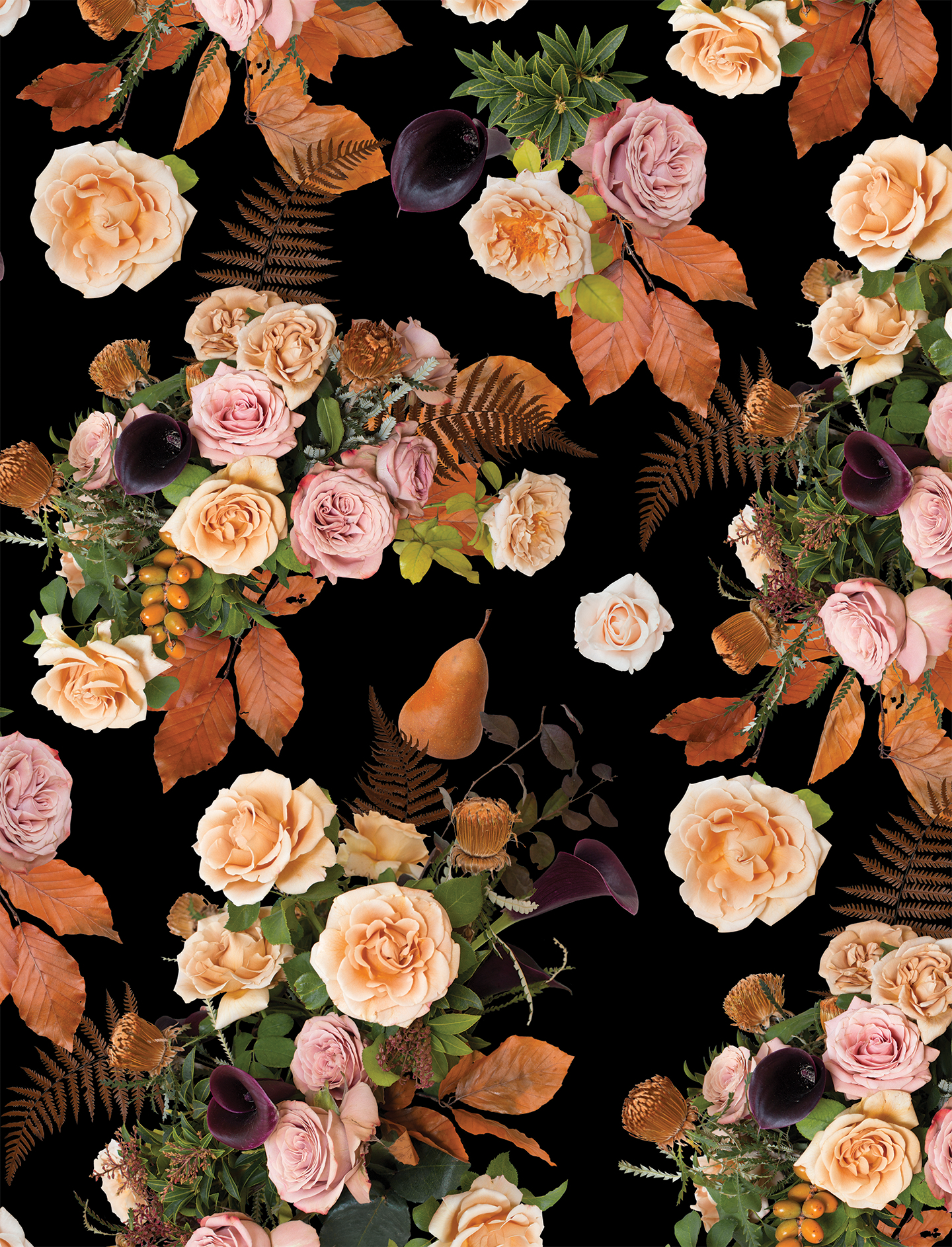 Honey & Poppies Wallpaper, black