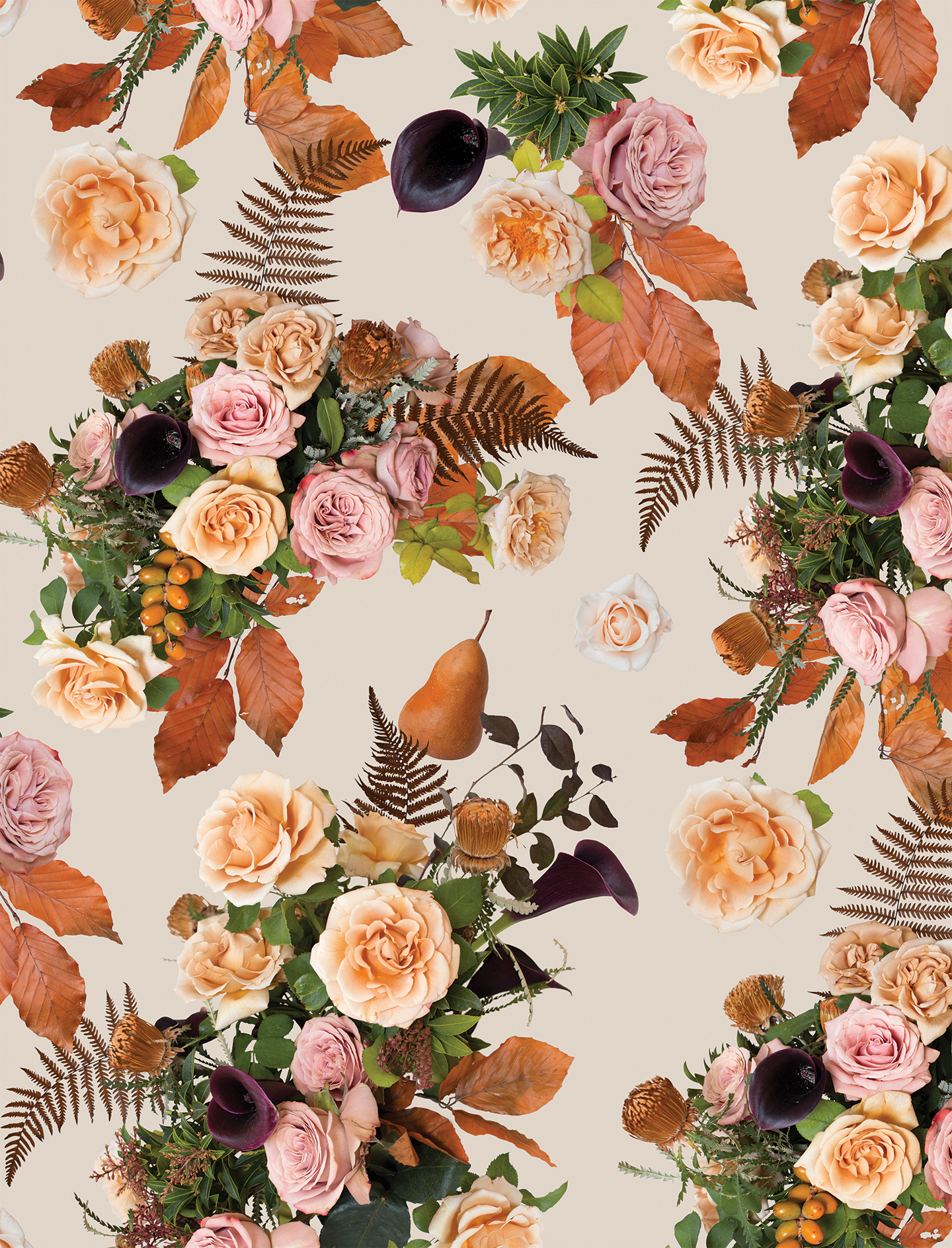 Honey & Poppies Wallpaper, off-white