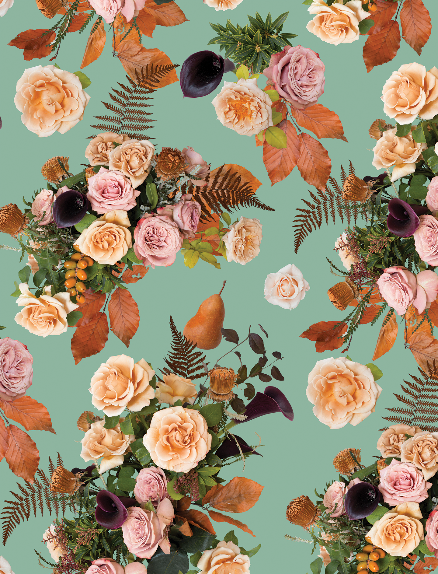 Honey & Poppies Wallpaper, robin egg