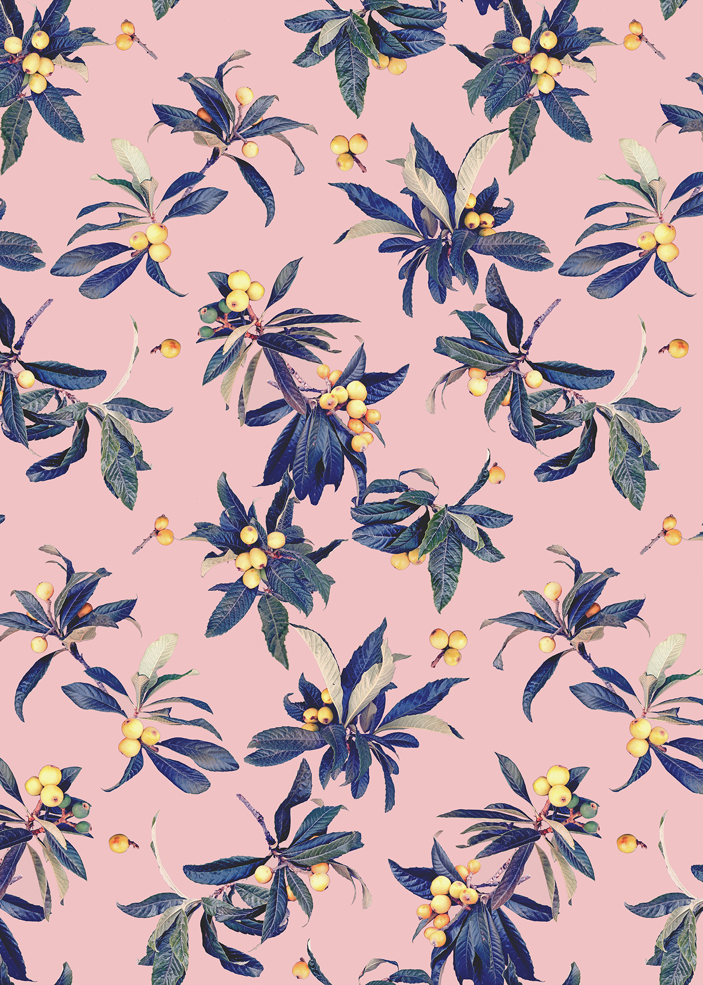 Loquat Love Wallpaper, pink