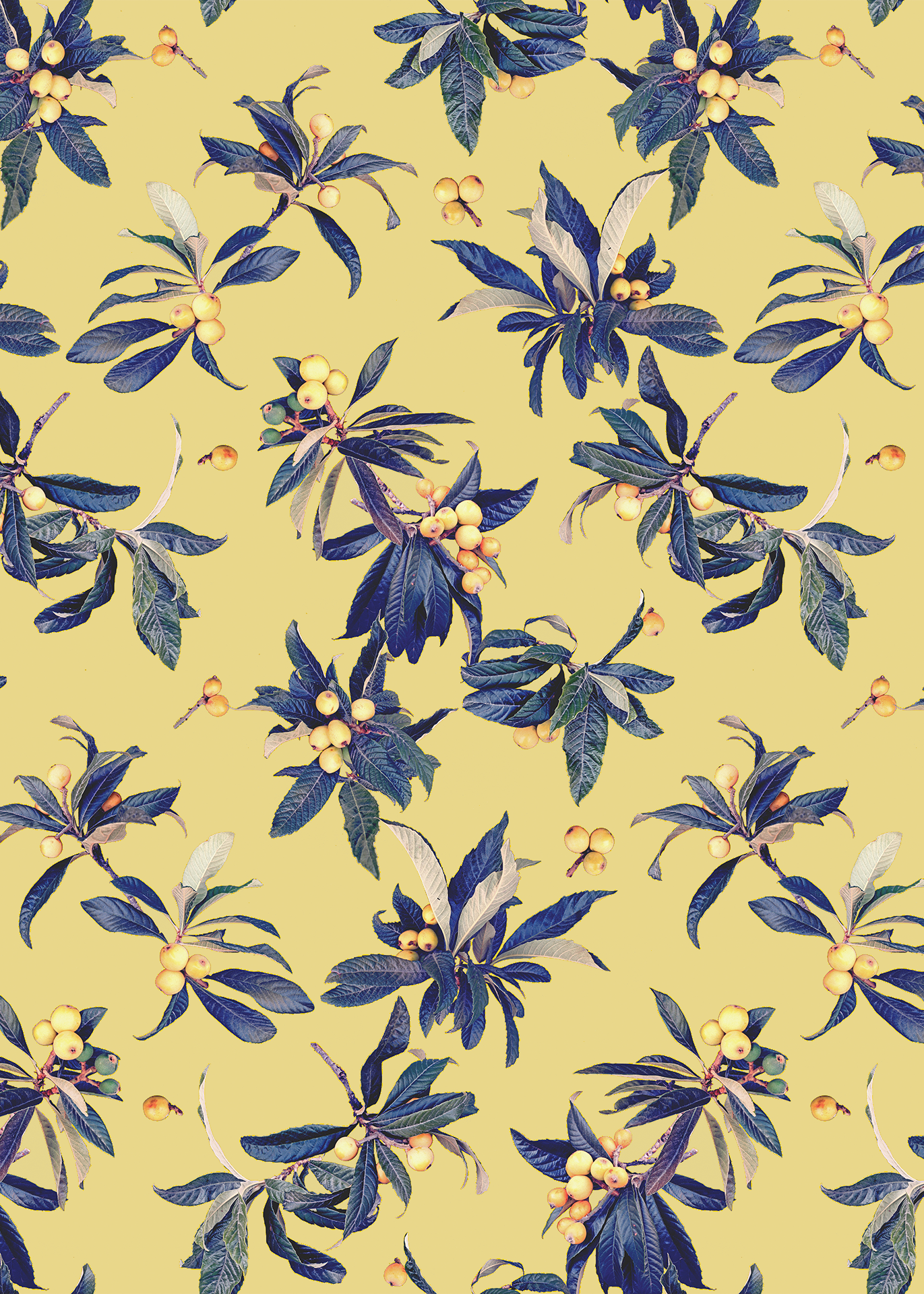 Loquat Love Wallpaper, yellow