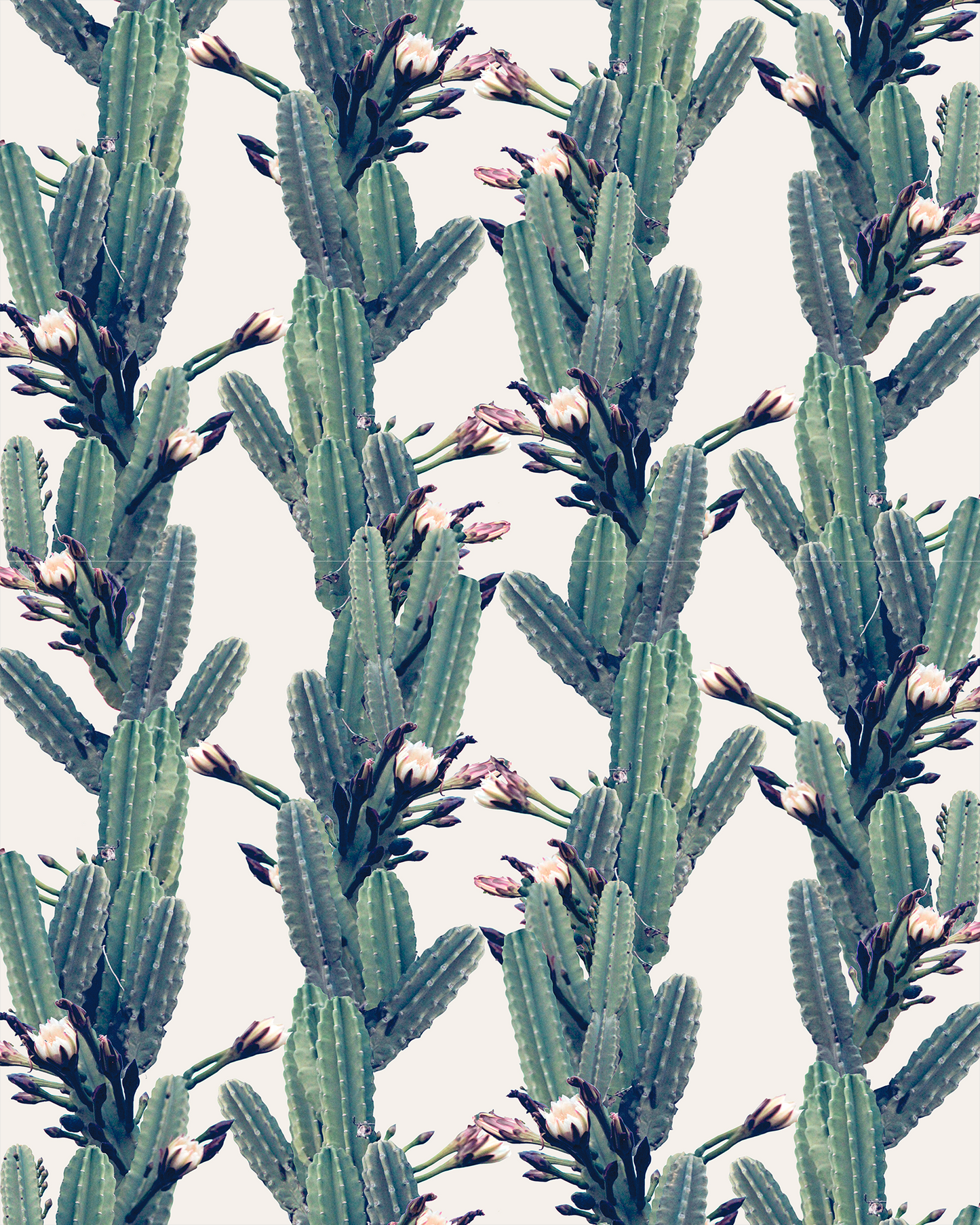 Los Cactus Wallpaper, off-white