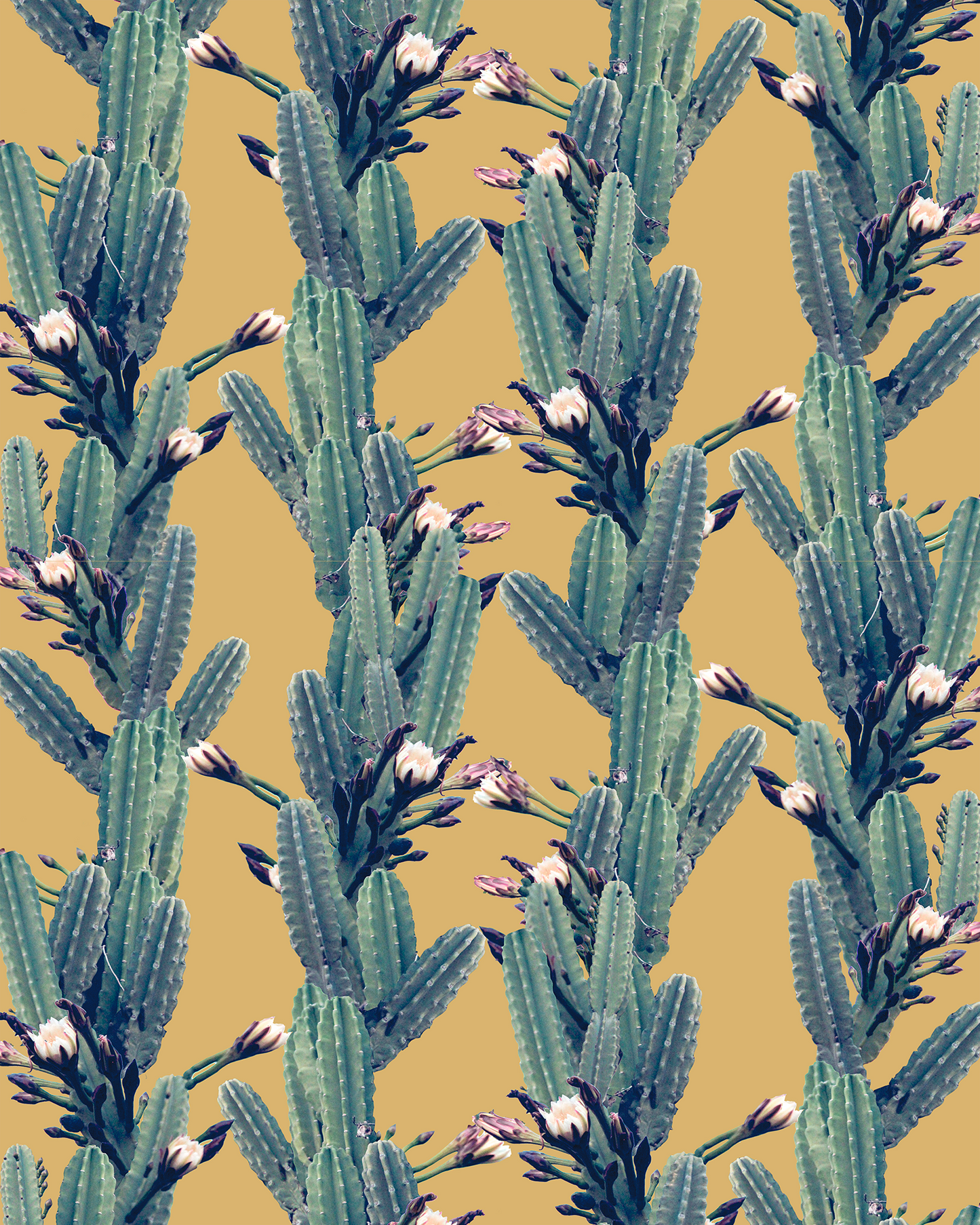 Los Cactus Wallpaper, yellow