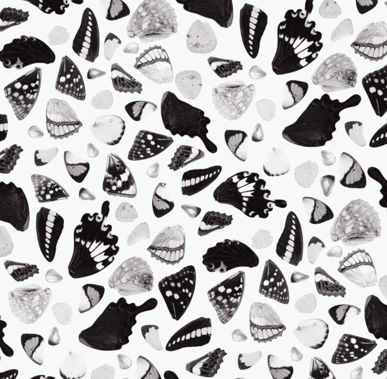 Butterfly Terrazzo Wallpaper, white and black