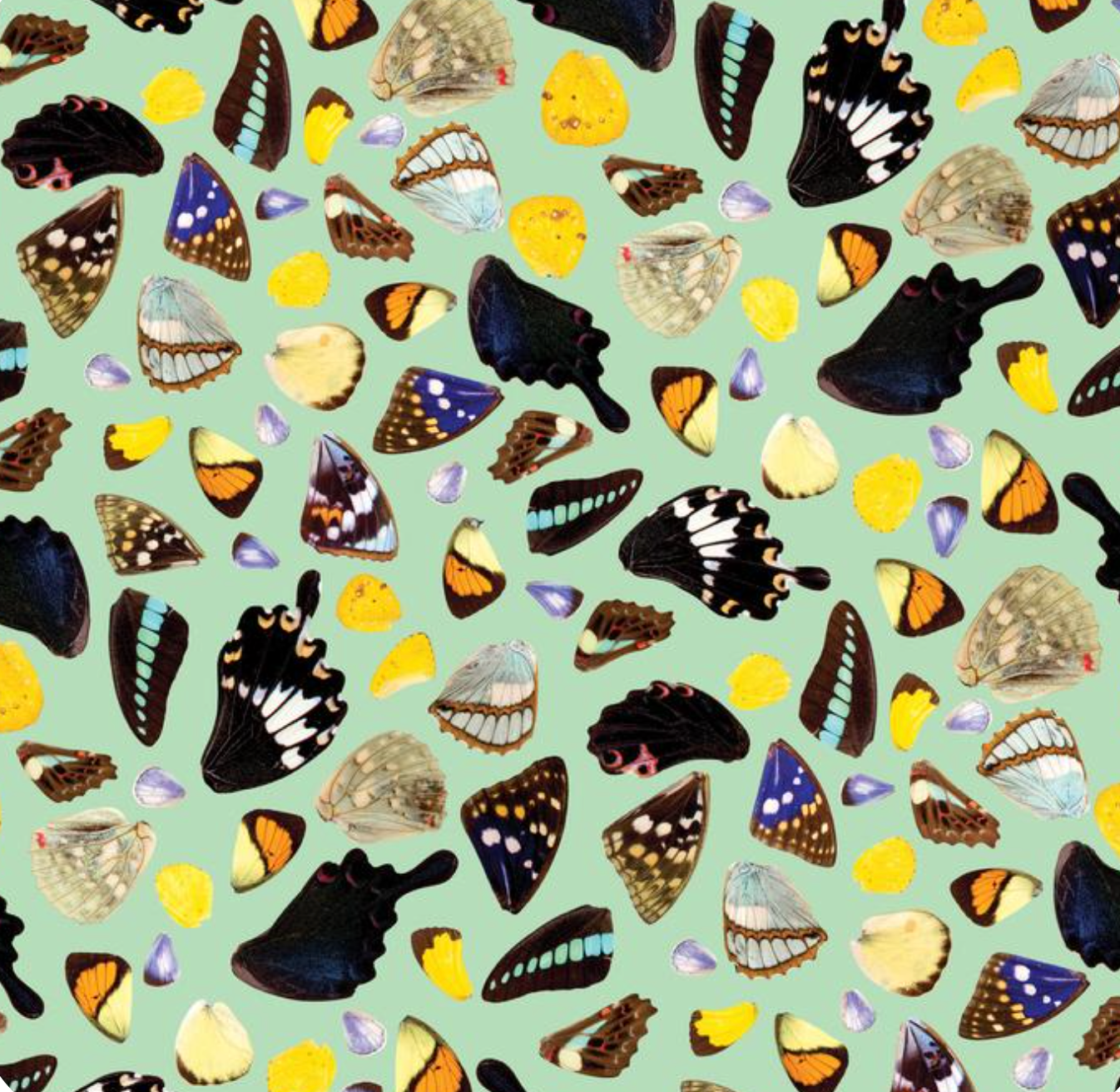 Butterfly Terrazzo Wallpaper, mint