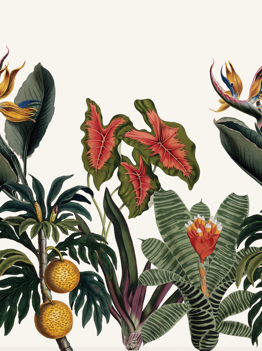 CUSTOM Vintage Botanical Mural - Aaron Anderson, white