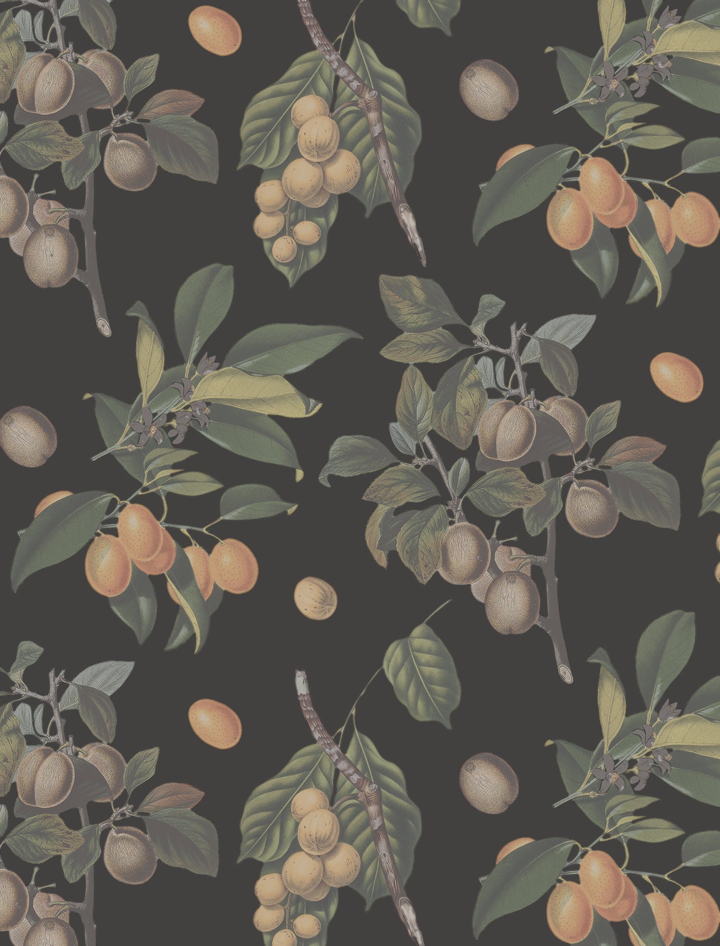 Muted Vintage Orchard, charcoal
