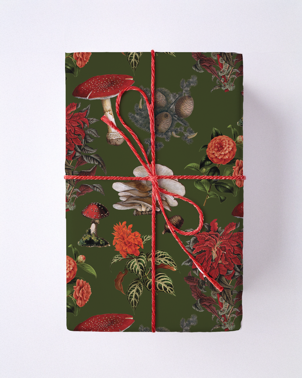 Green wrapping paper with red mushrooms and floral design, tied with red string.