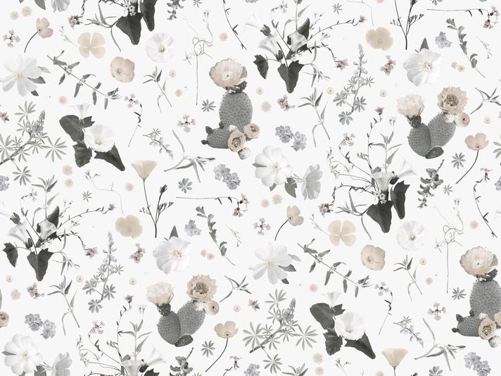 California Native Wallpaper, muted white