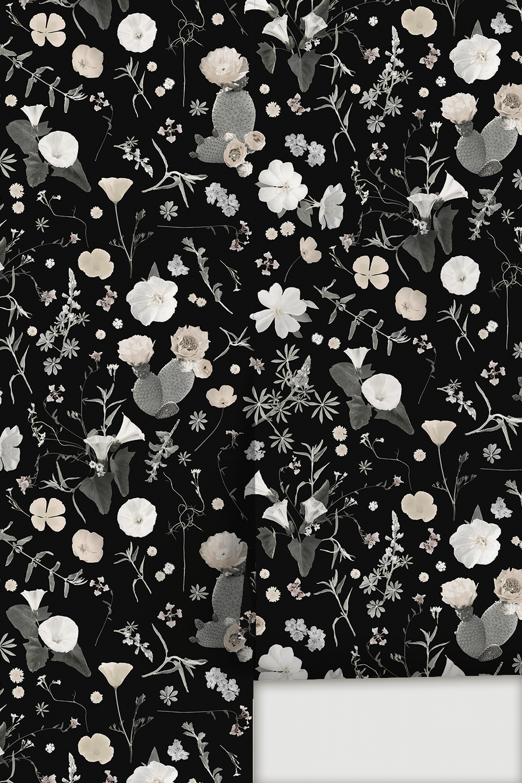 California Native Wallpaper, black and muted color