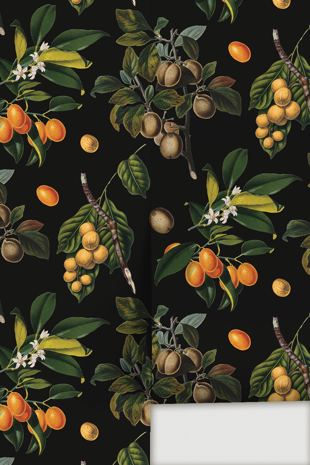 Vintage Orchard Wallpaper, black