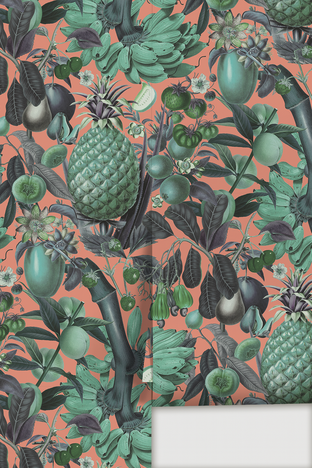 Juicy Fruit Wallpaper, coral and teal