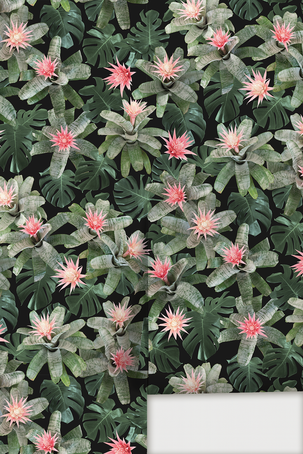 Rad Bromeliad Wallpaper, black
