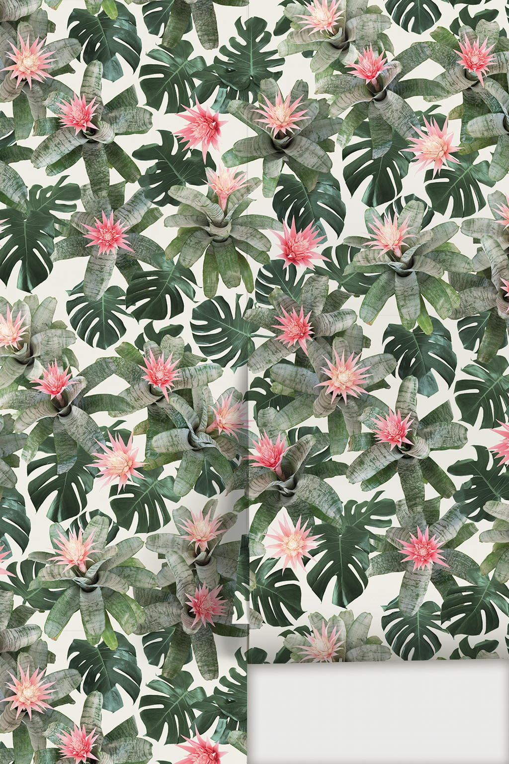 Rad Bromeliad Wallpaper, white